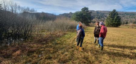 6 Terenski ogled parcele na območju mokrotnega travnika s prevladujočo modro stožko (v ozadju travnik v zaraščanju), ki se bo urejala v okviru projekta ZAGON.